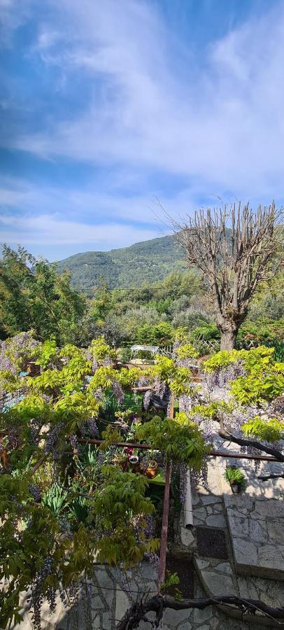 Studio de charme + terrasse : Verdon, lac, plages Claviers Extérieur photo